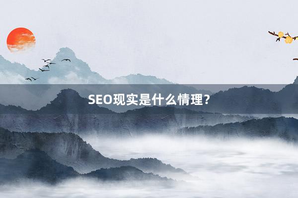 SEO现实是什么情理？