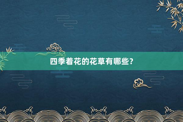 四季着花的花草有哪些？